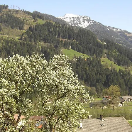 Apartment Ahorn Zillertal