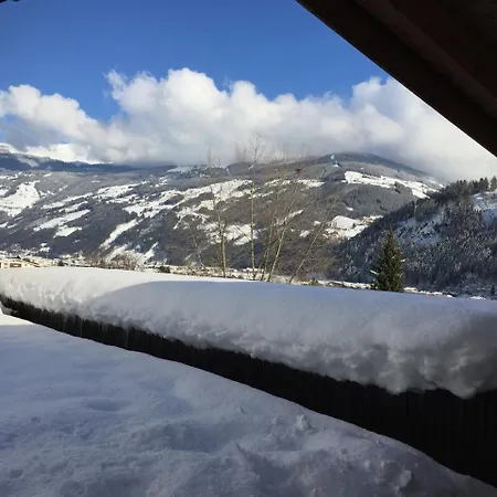 Ahorn Zillertal Hippach