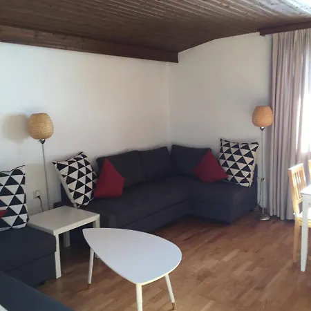 Ahorn Zillertal Apartment Hippach